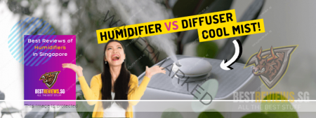 best reviews of humidifiers in singapore