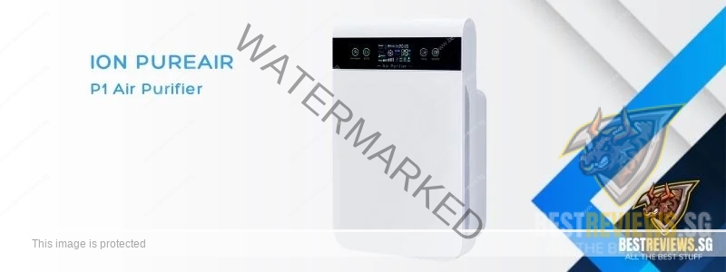 Best Air Purifiers - Ion PureAir P1