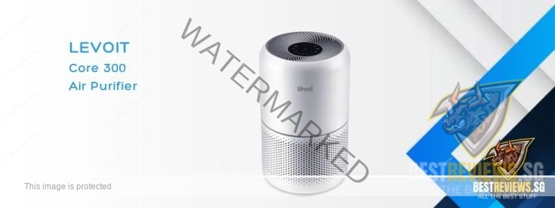 Best Air Purifiers - Levoit Core 300