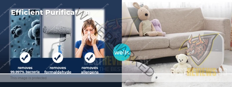 Wells Interior Air Purifier - Effectiveness Overview