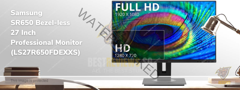 ViewSonic VG2455 24 Inch Ergonomic Business IPS Monitor