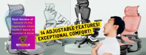Best Reviews of Hinomi H1 Pro Ergonomic Office Chair