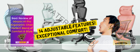 Best Reviews of Hinomi H1 Pro Ergonomic Office Chair