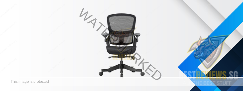 Best Ergonomic Chair?! We tried Hinomi!, Our Office Renovation Series
