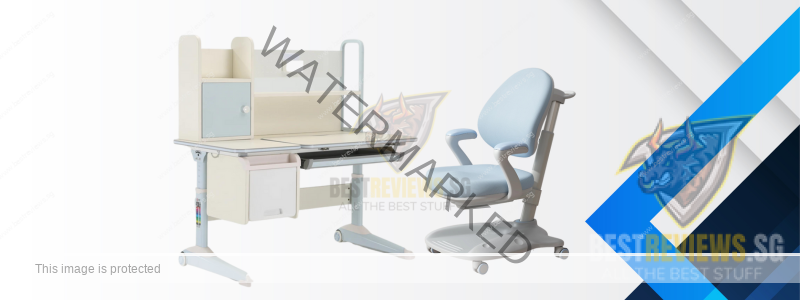 Kids Ergonomic Chairs and Desks - FLEK Large Ergo Study Table and FLEK Ergo Chair