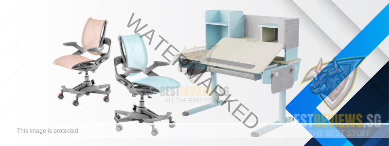 Kids Ergonomic Chairs and Desks - Hinomi Ergonomic Kids Study Desk and Zee Ergonomic Kids Study Desk Chair