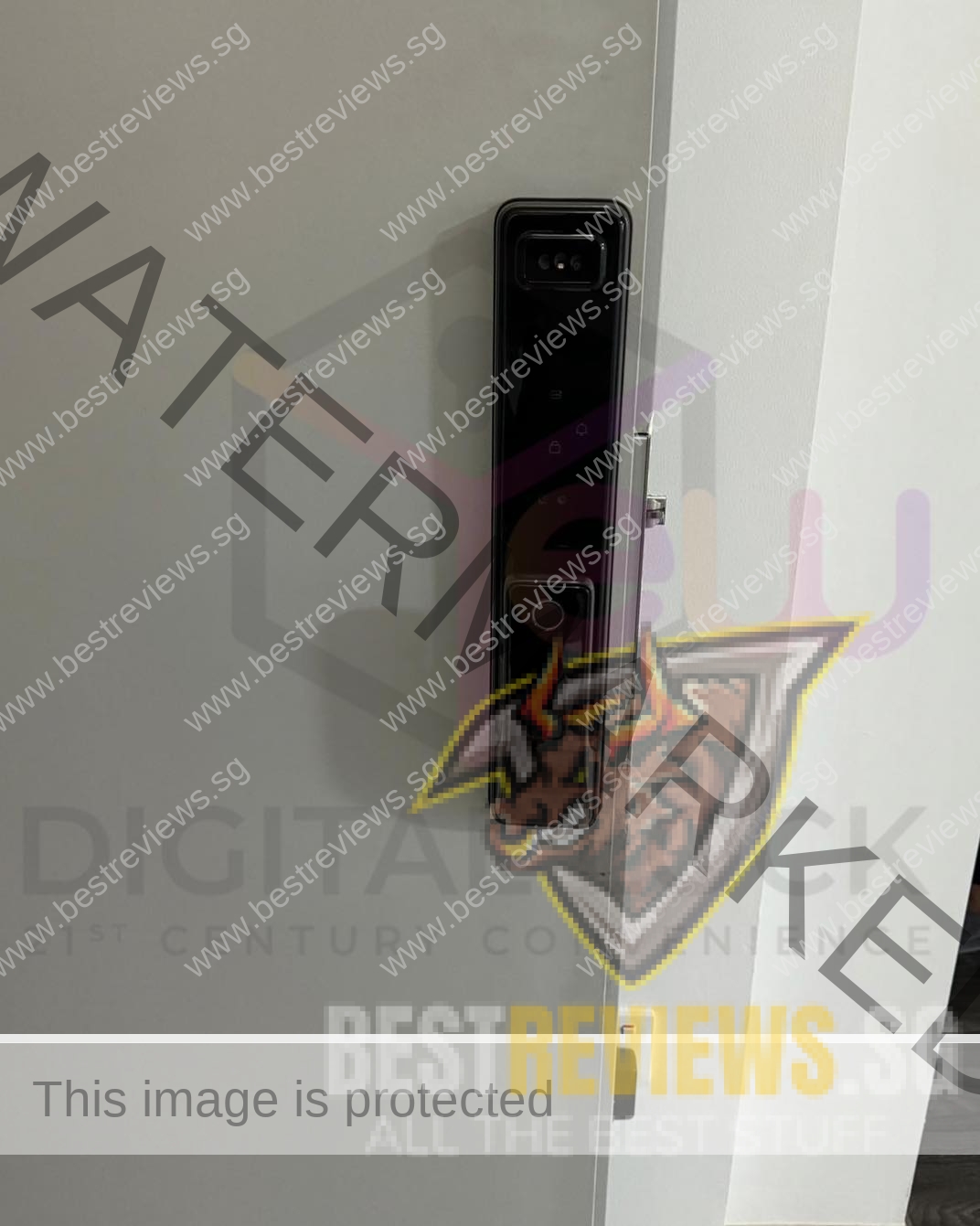 396699059 170248566159256 4392954593588672128 n