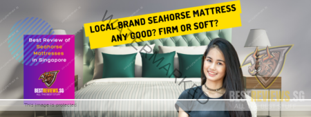 Seahorse Mattress Reviews and Ratings seahorse mattress