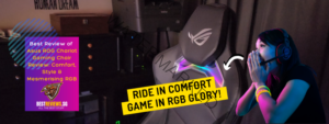 Best Reviews of the Asus ROG Chariot Gaming Chair
