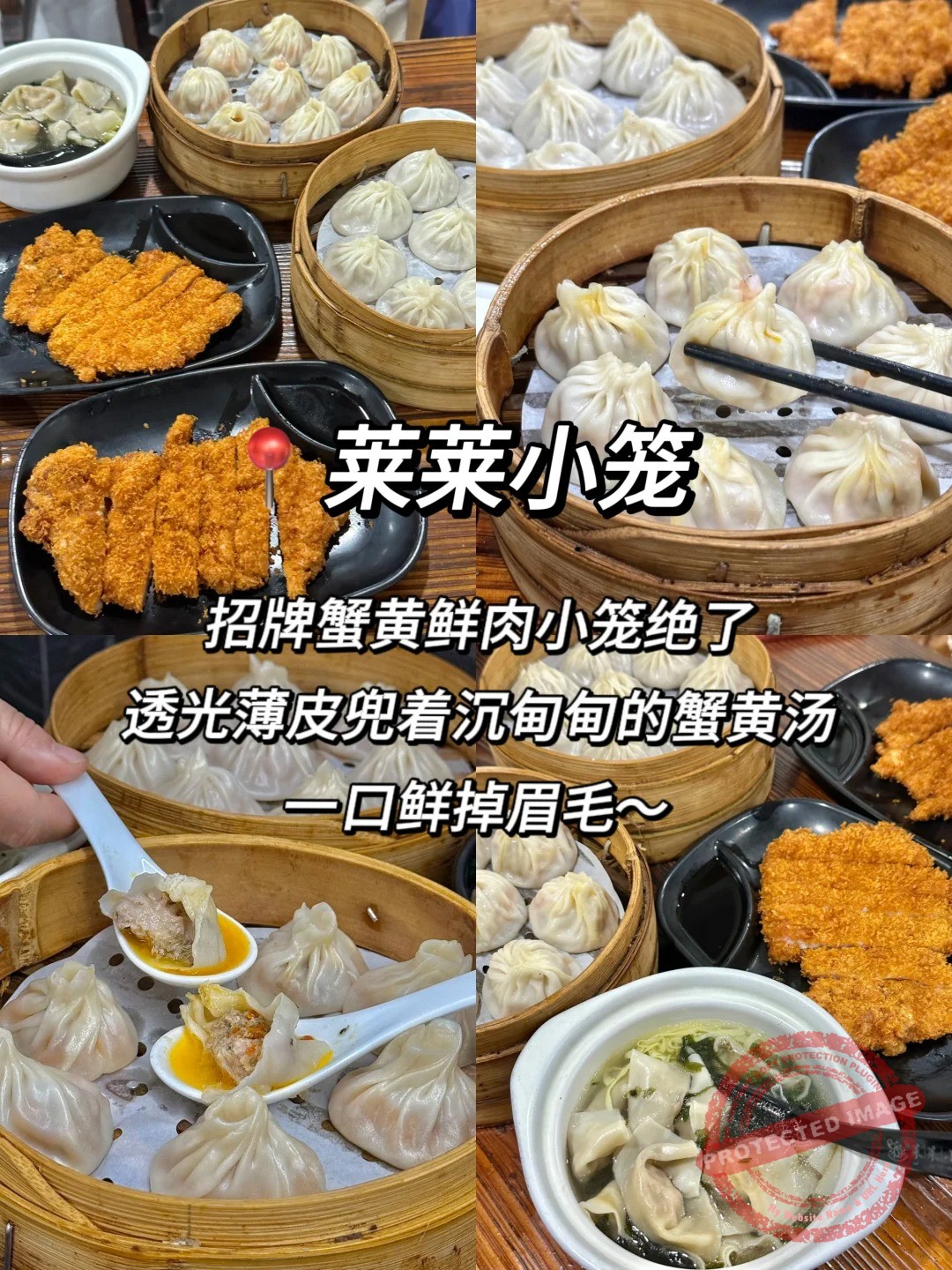 shanghai food 小笼包 莱莱小笼