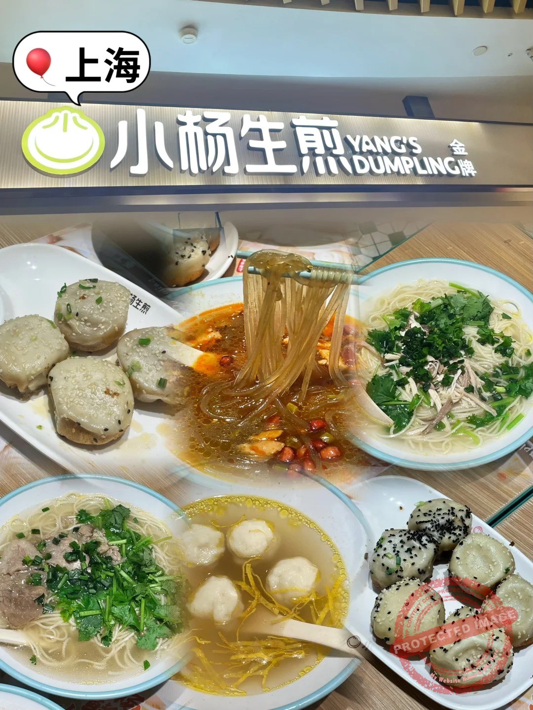 shanghai food 生煎包 小杨生煎