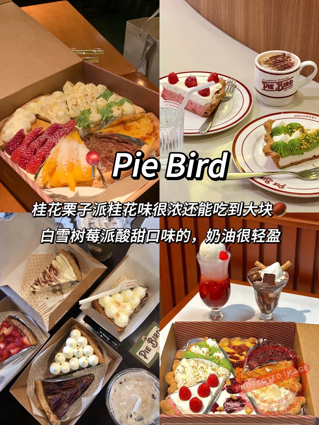 shanghai food 糕点 pie bird
