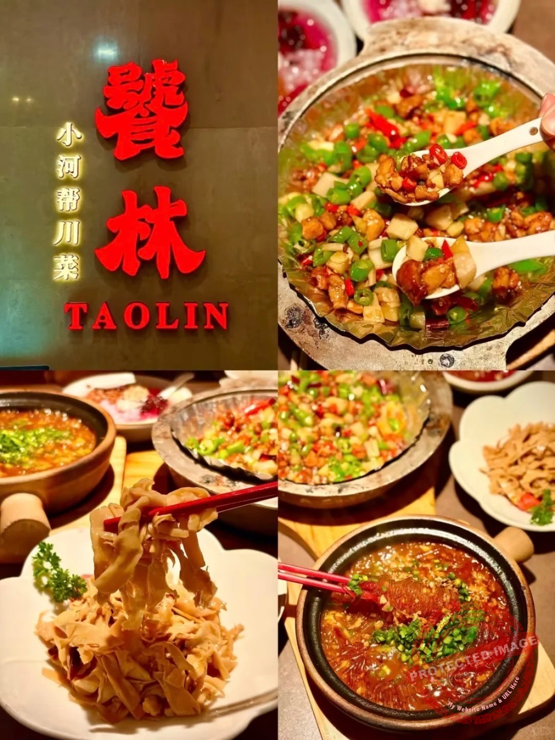 chengdu food 川菜 饕林餐厅