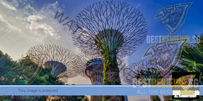 places-in-singapore-review-structure-11 places-in-singapore-review-structure-11